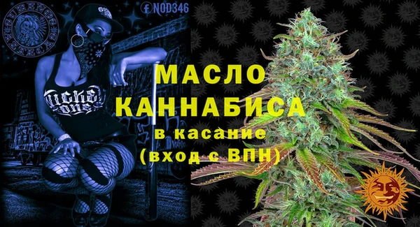 индика Володарск