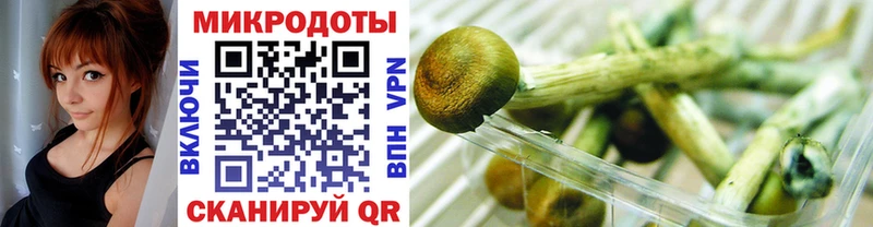 Галлюциногенные грибы Psilocybine cubensis  ОМГ ОМГ маркетплейс  Новохопёрск 